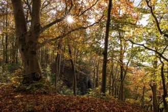 The sun shines atmospherically in the deciduous forest above the cliffs of Ith, Saubrink-Oberberg