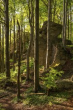 Idyllic deciduous forest surrounds the mighty cliffs of Ith, atmospheric scene in spring,