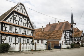 Village made entirely of half-timbered houses, Seebach, Alsace, Bas-Rhin department, France