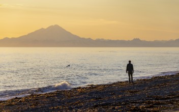 Young man walking along the beach at sunset, view across Cook Inlet to white mountain peaks of