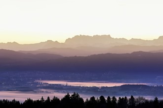 View from Horben of Lake Zug with the town of Cham and Zug, behind it the snow-capped mountains