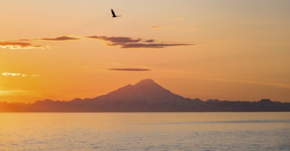 View over Cook Inlet to white mountain peaks of Mount Redoubt, at sunset, picturesque golden light