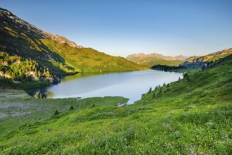 Engstlensee near Engstlenalp with Rothorn and Glogghues in the background, Canton of Bern,