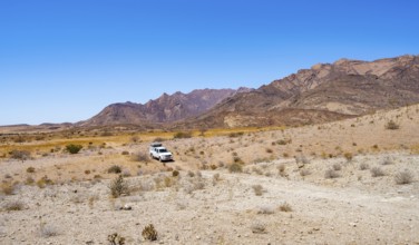 Toyota Hilux off-road vehicle on a sandy track, desert landscape with Brandberg, Erongo,
