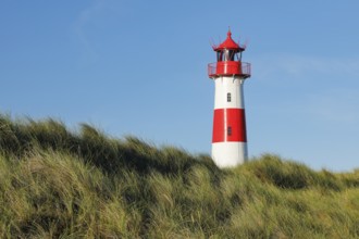 Lighthouse List-Ost am Ellenbogen on the island of Sylt, Germany
