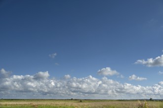 Clouds above the lagoon landscape, Ahrenshoop, Mecklenburg-Western Pomerania, Germany