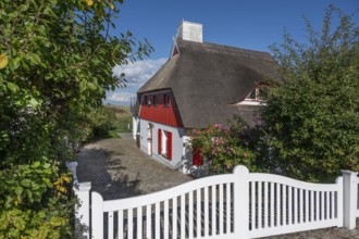 Private thatched house, Ahrenshoop, Darß, Mecklenburg-Western Pomerania, Germany