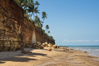 Lonely beach with red rocks and coconut trees, Red Cliffs, Bang Saphan Noi, Prachuap Khiri Khan