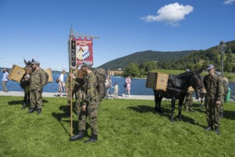 Bundeswehr soldiers with horses, mountain carrier company, soldiers in camouflage uniform, set up