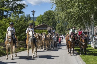 Decorated horses with carriage, horse team, parade at Tegernsee, Rosstag, Rottach-Egern, Upper