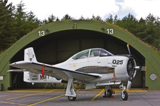 T-28 Trojan, training aircraft, piston-engined low-wing aircraft, American origin, aircraft,