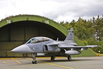 Saab Gripen JAS 39D Czech Air Force, fighter, aircraft, 1 turbofan engine, two-seater, combat
