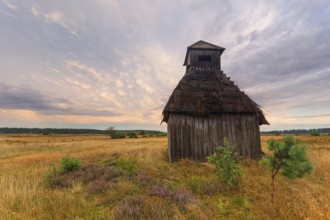 Rest in the Behringer Heide with an old wooden hut, Bispingen