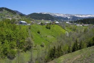 View of a green hilly landscape with scattered houses and a clear blue sky, village in the Lesser