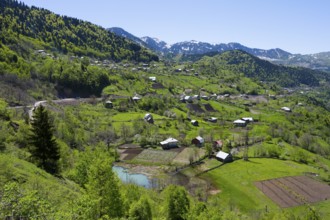 Green hilly landscape with scattered farms and small villages under blue skies, village in the
