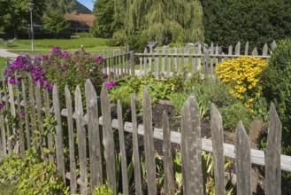 Bauerngarten im spa garden, Ort Schliersee, Upper Bavaria, Bavaria, Germany
