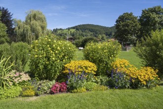 Blooming flowers in the spa garden, town of Schliersee, Upper Bavaria, Bavaria, Germany