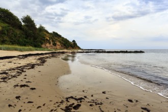 Typical coastline, Galløkken sandy beach, cliffs, Rønne, Rönne, Bornholm, Baltic Sea, Denmark