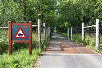 Cycle path through wooded area, fence and cattle grid, distinctive warning sign with bison symbol,