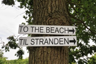 Bilingual signs with inscription, direction sign to the beach on a tree, Galløkken Strand, Rønne,