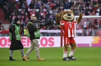 Mascot Berni FC Bayern Munich FCB (12) with TV team, TV camera, Allianz Arena, Munich, Bavaria,