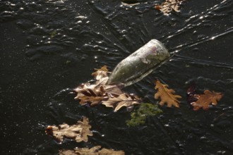 Frozen lake with autumn leaves, late autumn, Germany