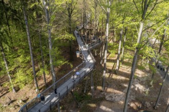 Steigerwald Baupfad Ebrach Germany