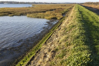 River Deben earthwork bank flood defence wall, Sutton, Suffolk, England, UK