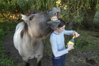Howling horse, next to a young girl in the pasture, Othenstorf, Mecklenburg-Western Pomerania,