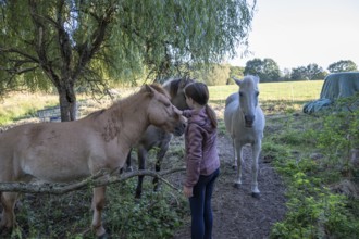 Young girl with her horses in the pasture, Othenstorf, Mecklenburg-Western Pomerania, Germany