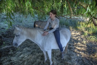 Young girl sitting on her white mare under a willow (Salix), Othenstorf, Mecklenburg-Western