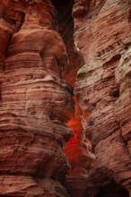 Evening rock glowing in spring at Altschloßfelsen in Eppenbrunn Palatinate, Germany