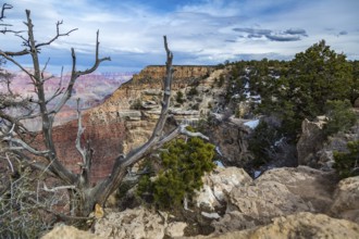 The Grand Canyon in northern Arizona