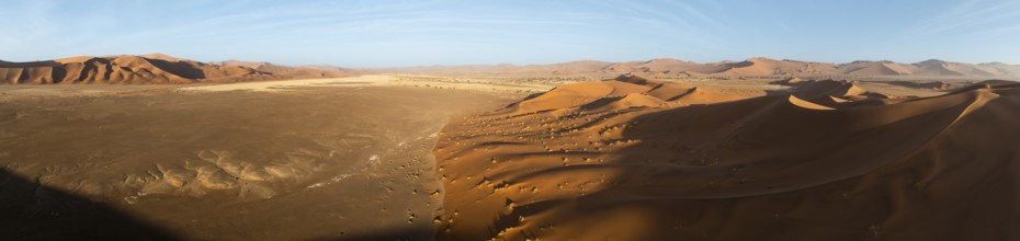 Aerial view of sand dunes in the Namib Desert, Namib Naukluft Park, Namibia