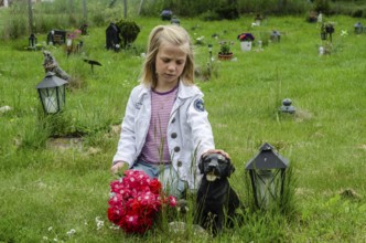 Grieving blonde 7-year-old girl at her dog's grave at pet cemetery in Ystad, Skåne County, Sweden,
