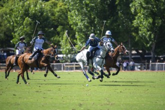 Scene at the 132nd Argentinean Open Polo Championship (Spanish 132nd Abierto Argentino de Polo de