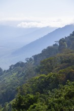 View of Ngorongoro Crater, Crater Viewpoint, mountain slopes with forest, Ngorongoro Conservation