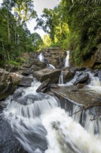 Derema Waterfall flows through thick vegetation, tropical rainforest in Amani Nature Forest