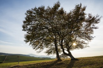 Weather forecast in autumn, sunset, Schauinsland, Freiburg im Breisgau, Black Forest,