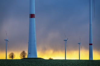 Königshovener Höhe onshore wind farm, on the A44 motorway near Bedburg, in front of the Jackerath
