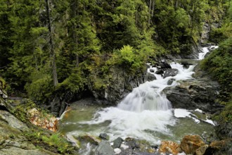 Diosaz mountain river in the gorge, Gorges de la Diosaz, Les Houches, Chamonix-Mont-Blanc,