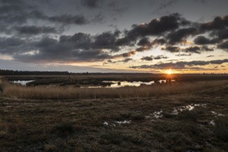 Moorland landscape at sunset, Emsland, Lower Saxony, Germany