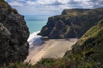 Landscape in New Zealand with sea and sandy beach. View of Mercer Bay. Mercer Bay Loop Walk hiking