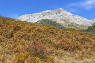 Mountain landscape Guarrinza - La Mina, Aragon Subordan river valley, Parque Natural Valles