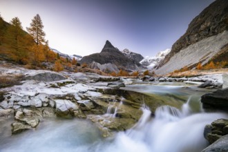 Mountain stream with autumnal larches and mountain views, Mont Mine, Ferpecle glacier, Val
