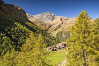 Traditional wooden huts on Alpe near Evolene, Val d'Herens, Canton of Valais, Switzerland