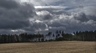 Rain clouds (Nimbostratus) over the Bavarian Forest, Upper Franconia, Bavaria, Germany