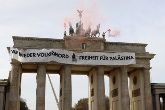 Several activists drop a banner with the inscription Never again genocide, freedom for Palestine
