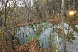 Low sun illuminates the rocks and caves of hell holes in the autumnal landscape of Dettingen an der