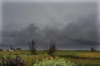 Dark rain clouds (Nimbostratus) over the lagoon, Ahrenshoop, Darß, Mecklenburg-Western Pomerania,